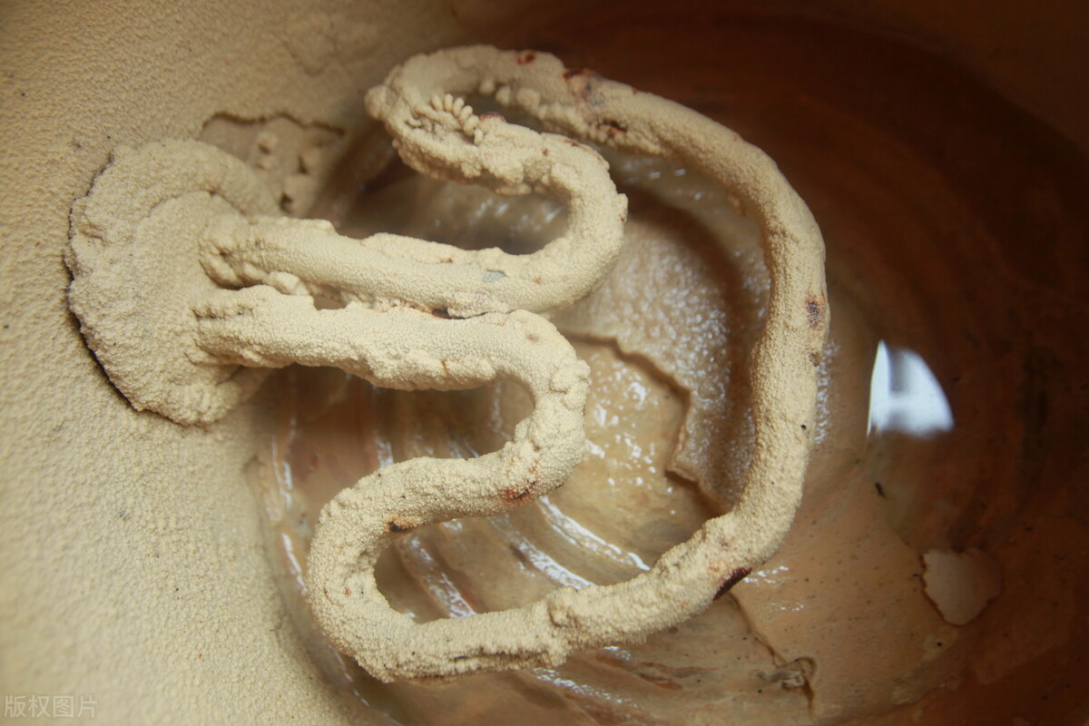 你家的自來水水質合格嗎？凱菲勒教你水質自檢五部曲